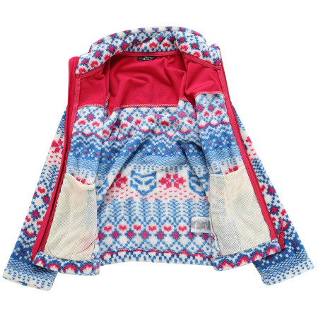 Kinder-Funktions-Sweatshirt Alpine Pro Eflino