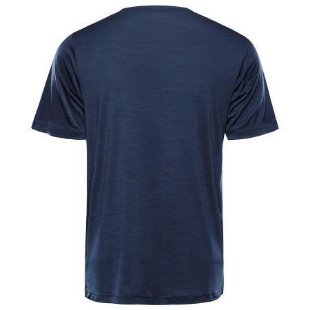 Herren-Funktionsshirt Alpine Pro Basik