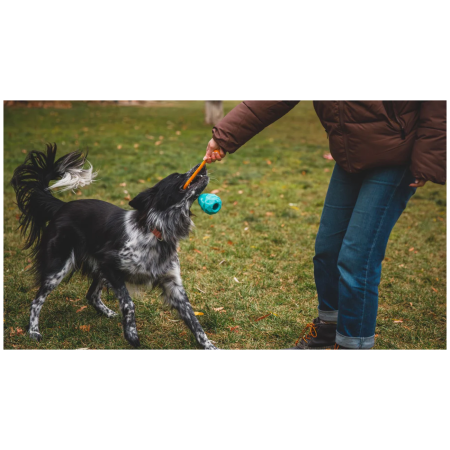 Hundespielzeug Ruffwear Huck-a-Cone™ Toy