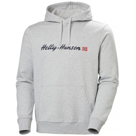 Herren-Sweatshirt Helly Hansen Core Graphic Hoodie hellgrau 947 GREY MELANG