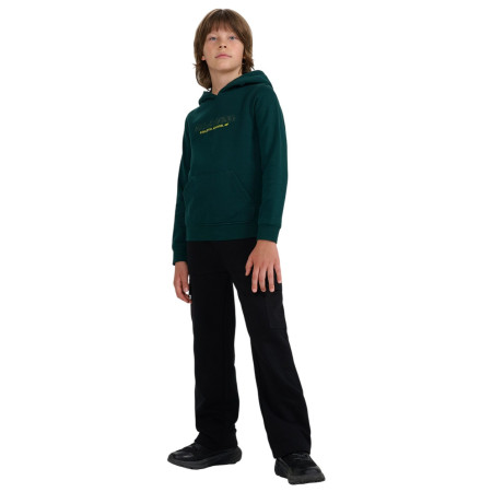 Kinder-Sweatshirt 4F Sweatshirt M1959