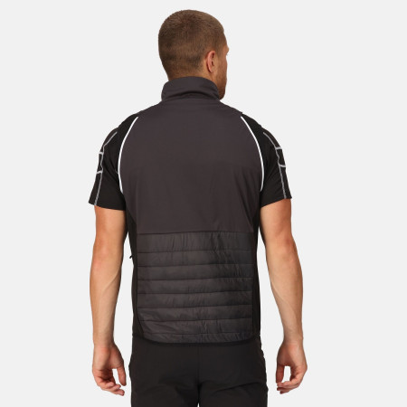 Herrenjacke Regatta Steren Hybrid