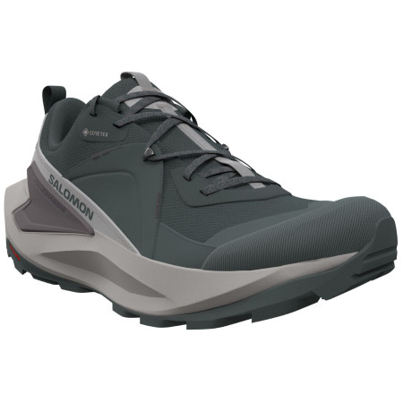 Damenschuhe Salomon Elixir Gore-Tex