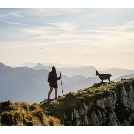 Trekkingstöcke TSL Tour A3 Cross P&P