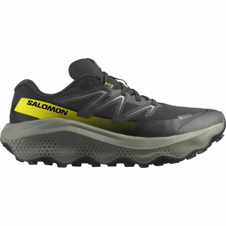 Herrenschuhe Salomon Ultra Flow 2 Gore-Tex
