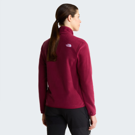 Damen Funktions-Sweatshirt The North Face W Glacier Fleece Jacket
