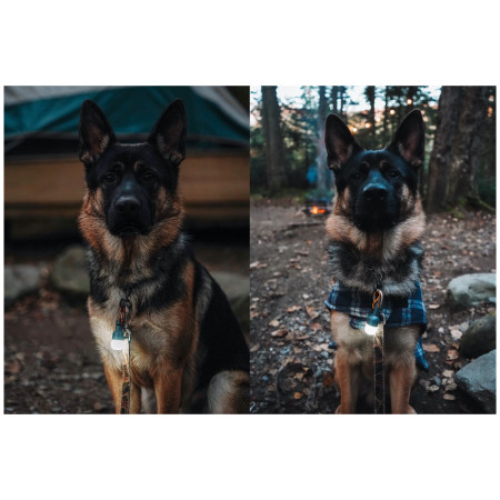 Lichtset BioLite Site Lights