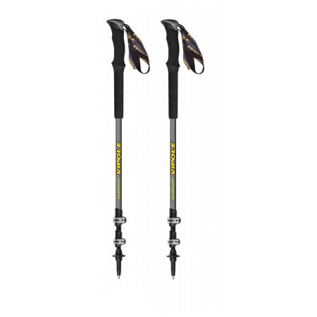 Trekkingstöcke Vipole Base Camp Ql Mid Green Dlx grau