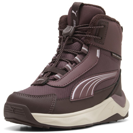 Kinderschuhe Puma Puma Evolve 2.0 Boot PS Rich Cocoa-Powde