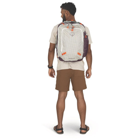 Reiserucksäcke Osprey Transporter Travel Pack 36