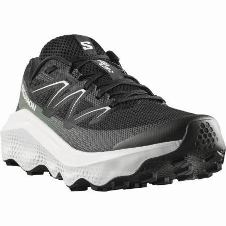 Herrenschuhe Salomon Ultra Flow 2