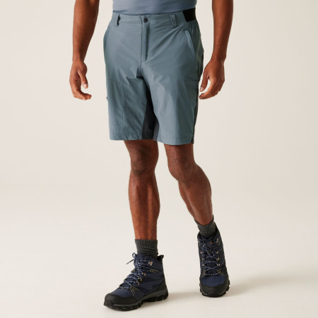 Herrenshorts Regatta Eldes Shorts