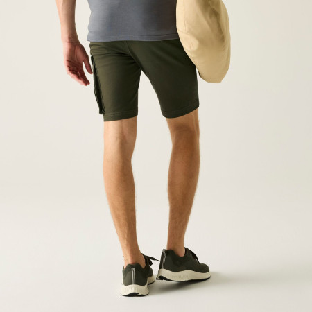 Herrenshorts Regatta Bendrick Shorts