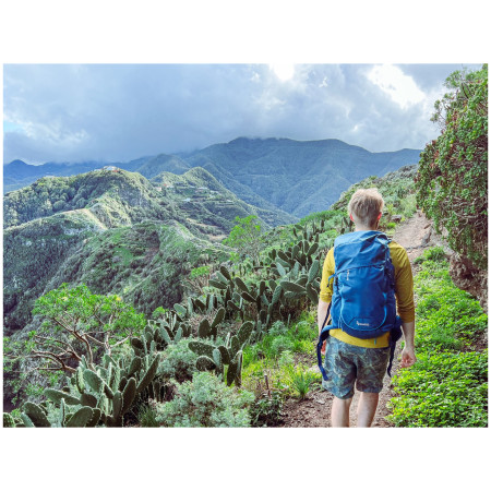 Rucksack Warg Raiden 38l