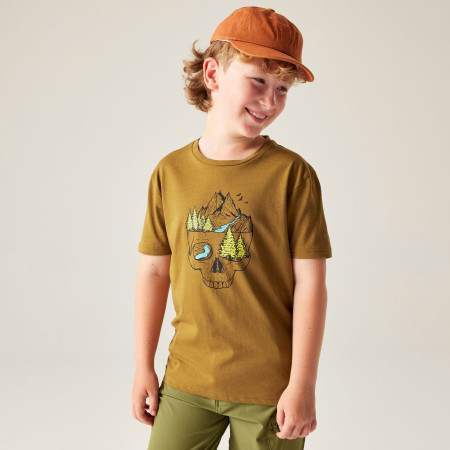 Kinder-T-Shirt Dare 2b Trailbazer III Tee Dark Cumin