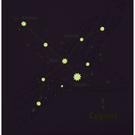 Kinderschlafsack Boll Stellar