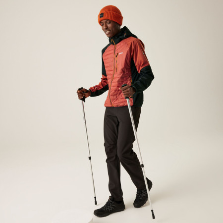 Herrenjacke Regatta Pro Hybrid