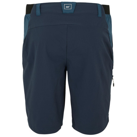Herrenshorts Regatta Eldes Shorts