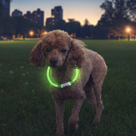 Leuchtendes Hundehalsband Nite Ize NiteHowl® Rechargeable LED Safety Necklace