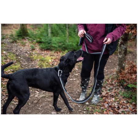 Leine mit Stoßdämpfer Mountain Paws Shock Absorber Dog Lead