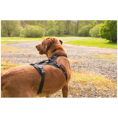 Hundegeschirr Mountain Paws 3-Strap Dog Harness