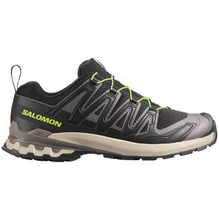 Herrenschuhe Salomon Xa Pro 3D V9