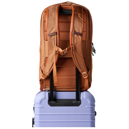 Rucksack Cotopaxi Allpa 26L Daypack