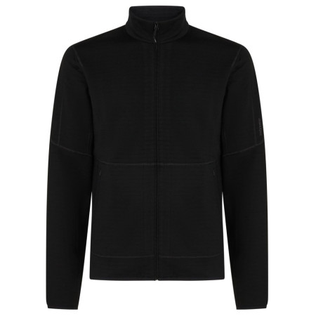 Herren-Sweatshirt Icebreaker M Mer 400 RealFleece Descender LS Z schwarz Black