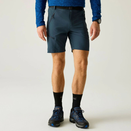 Herrenshorts Regatta Xert Stretch Shorts