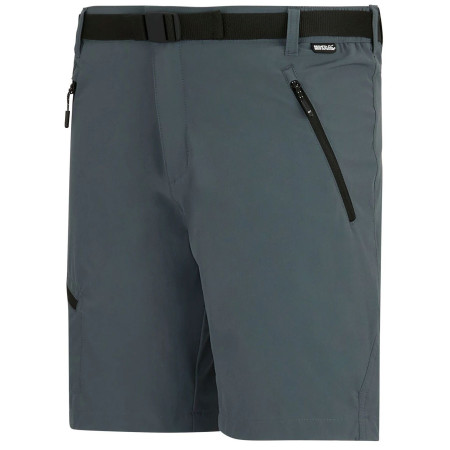 Herrenshorts Regatta Xert Stretch Shorts