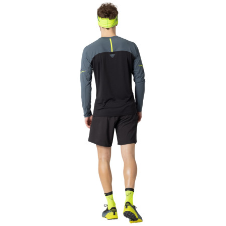 Herren-Funktionsshirt Dynafit Alpine Pro M L/S Tee