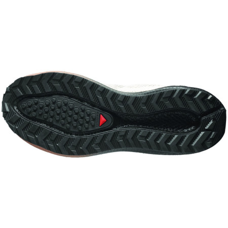 Herrenschuhe Salomon Aero Blaze 4 Grvl Gtx
