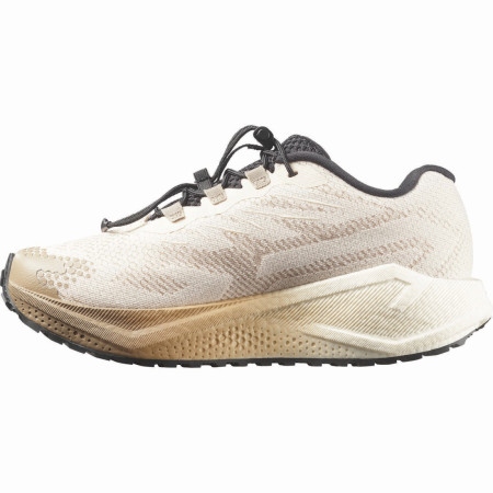 Damen Laufschuhe Salomon Aero Blaze 4 Grvl W
