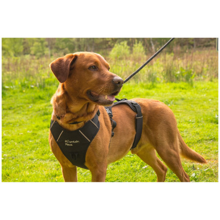 Hundegeschirr Mountain Paws 3-Strap Dog Harness