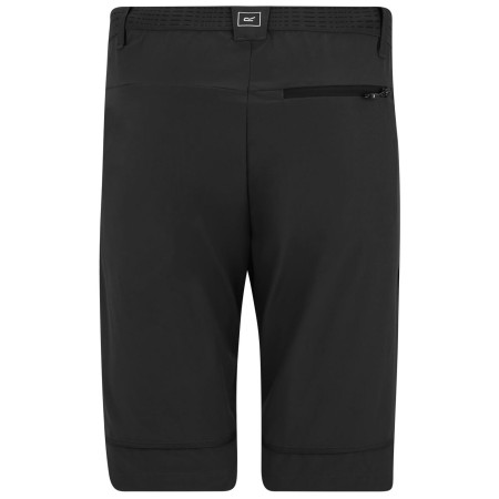 Herrenhose Regatta Mountain Z/O Trousers