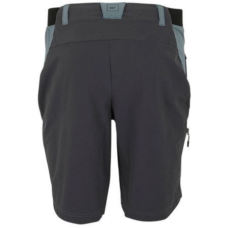 Herrenshorts Regatta Eldes Shorts
