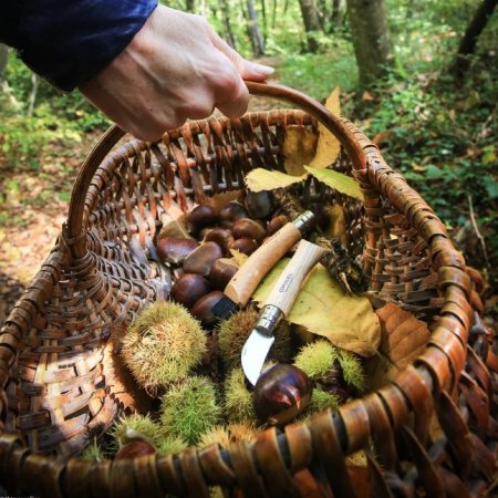 Klappmesser Opinel N°07 Inox