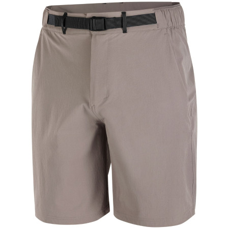 Herrenshorts Salomon Wayfarer 2.0 short M grau Iron