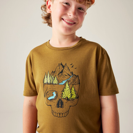 Kinder-T-Shirt Dare 2b Trailbazer III Tee Dark Cumin