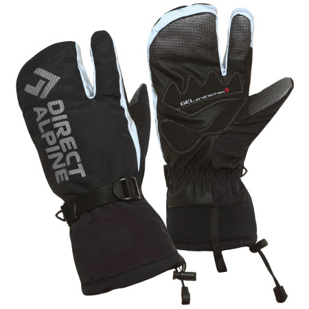 Handschuhe Direct Alpine Wallis 1.0 schwarz Black