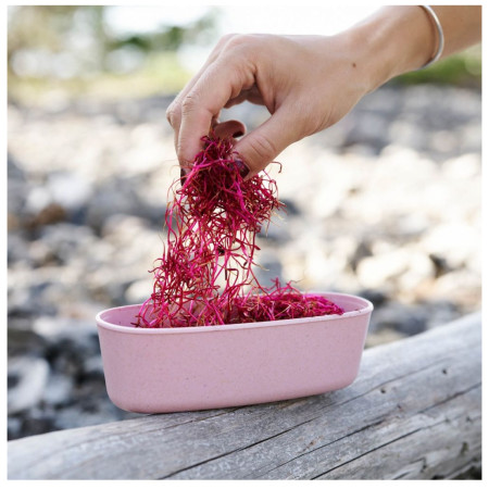 Dosen Light My Fire Oval 2-pack