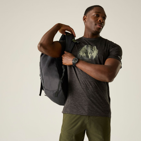 Herren-T-Shirt Regatta Fingal