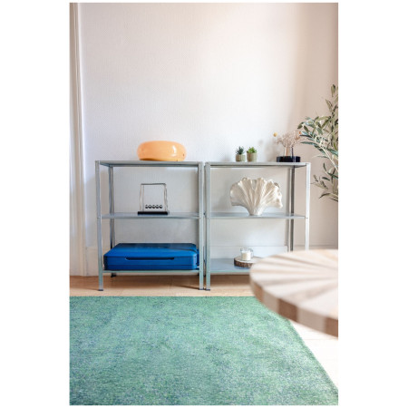 Kühlbox Coleman Snap-N-Go 35QT