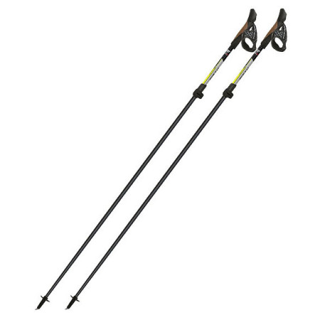 Nordic Walking Stöcke Fizan Tekno