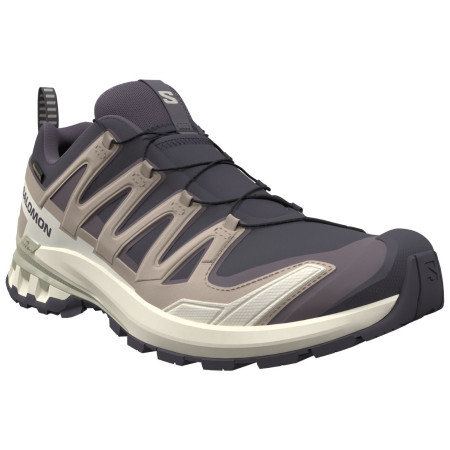 Damen Wanderschuhe Salomon Xa Pro 3D V9 Gore-Tex