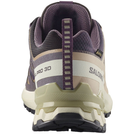 Damen Wanderschuhe Salomon Xa Pro 3D V9 Gore-Tex