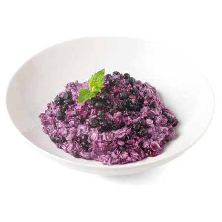Brei Food Force Haferbrei mit Heidelbeeren 100 g