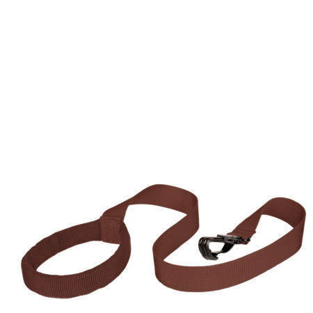 Kinderrucksack LittleLife Toddler Backpack - Dinosaur