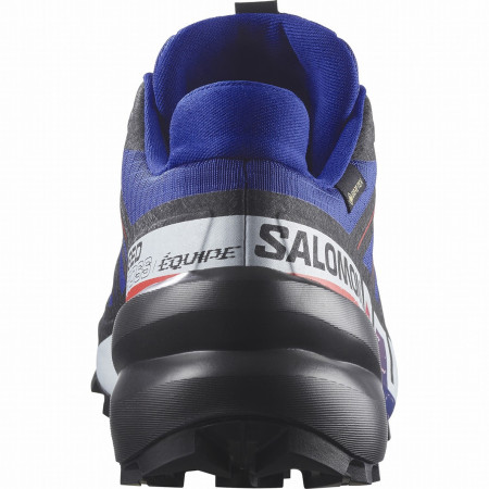 Herrenschuhe Salomon Speedcross 6 Gore-Tex Equipe