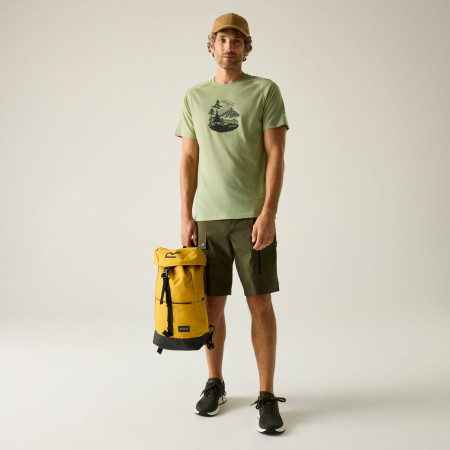 Herren-T-Shirt Regatta Escade